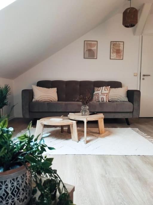 Stylische Altstadtwohnung - Netflix - Smart Tv - Schlafsofa Fur 3 Personen Erfurt Exterior photo